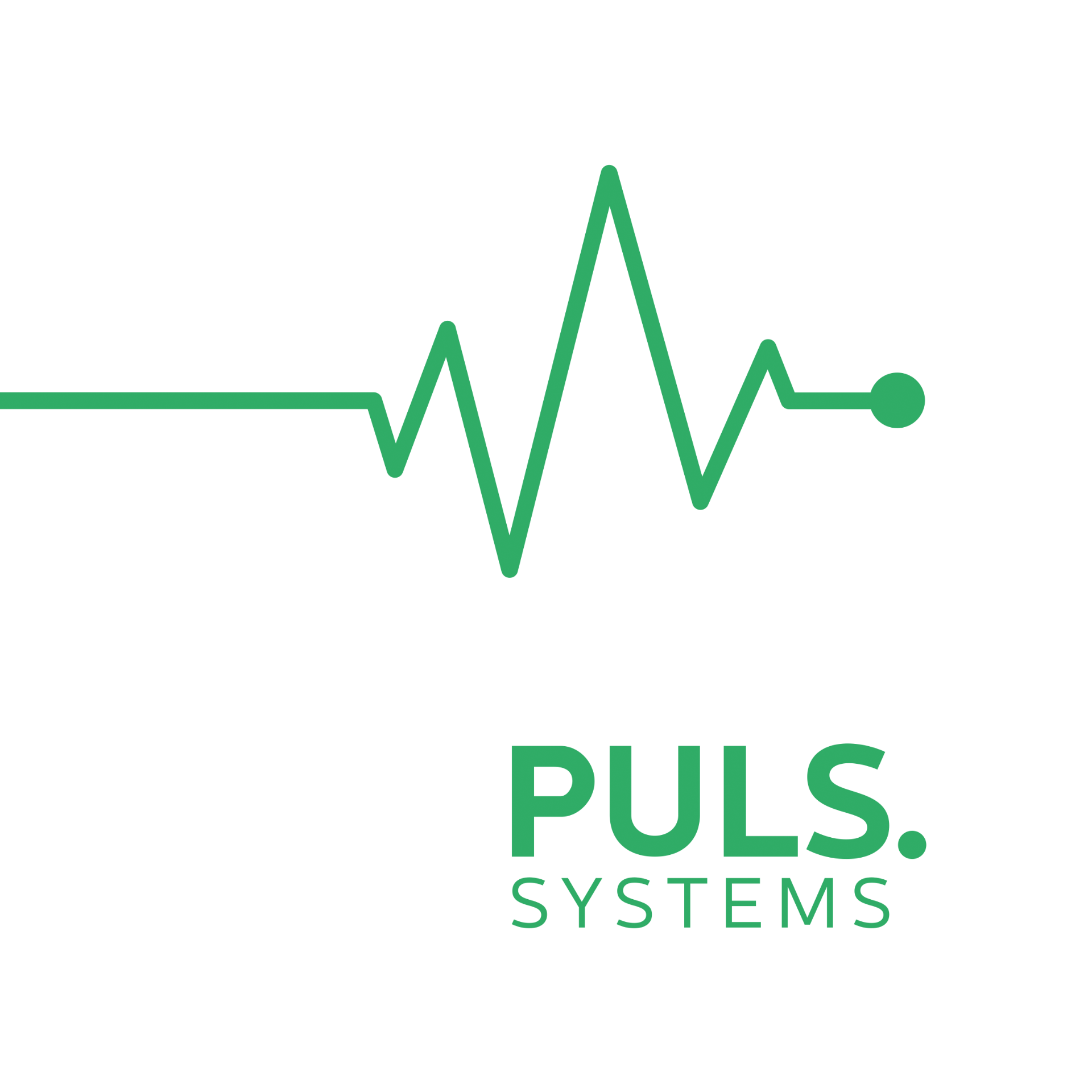 Puls.Systems